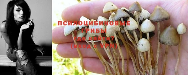 дмт Заволжье