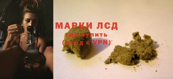 сатива Заводоуковск