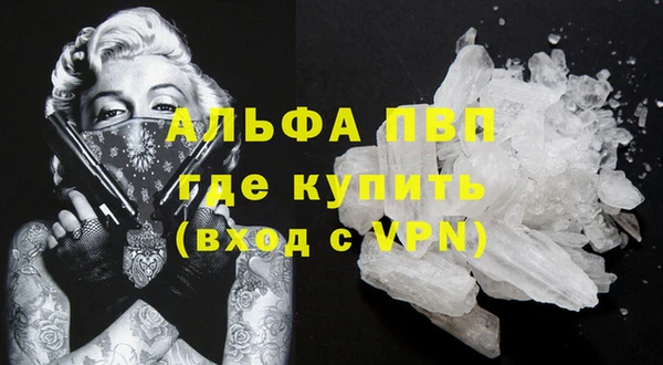 сатива Заводоуковск