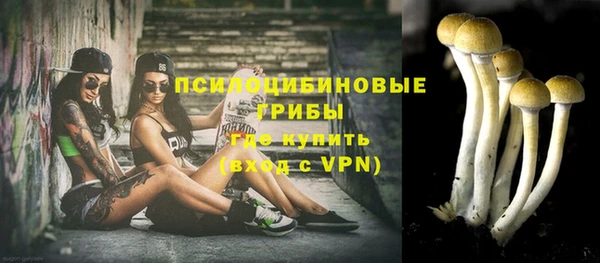 дмт Заволжье