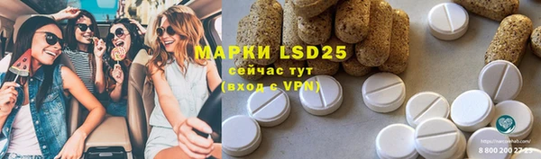 сатива Заводоуковск
